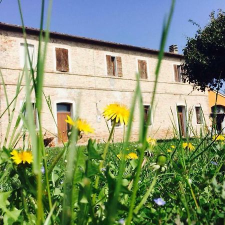 Bed and Breakfast Il Rudere Ravenna Exterior foto