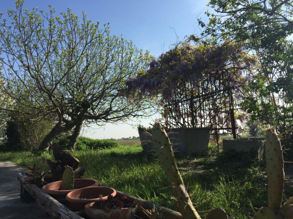 Bed and Breakfast Il Rudere Ravenna Exterior foto